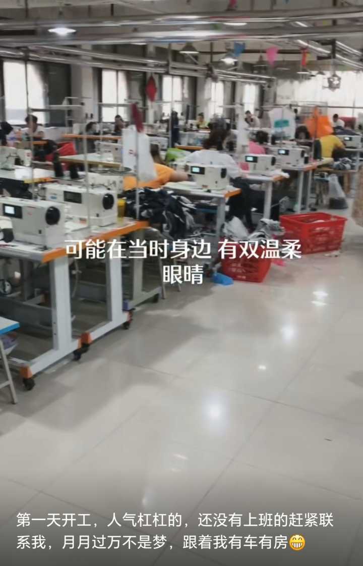 金海洋招工：厂长 总检 组长 工艺 车工 ie 做里布 上袖子 上门筒 套夹 做口袋 封口